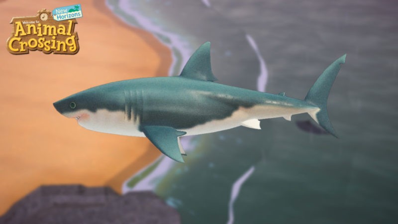 Tiburones de Animal Crossing New Horizons: precios, apariencias… Todo lo que necesitas saber