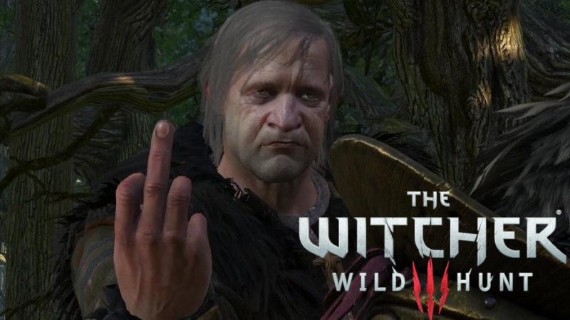 Terapia de choque de The Witcher 3: búsqueda, solución, ¿cómo hacer que el druida hable?