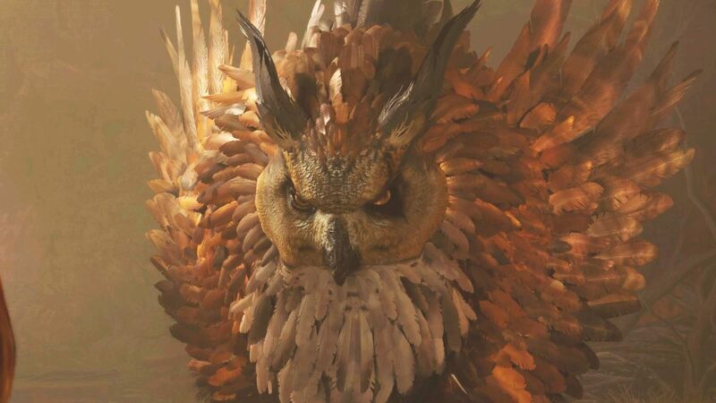 Baldur’s Gate 3 Druid aplasta al PNJ más desafortunado del juego con un Owlbear Dive Bomb de 820 daños en la pared de un castillo