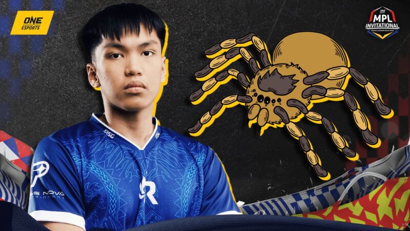 La gran colección de arañas de jugadores profesionales sorprende y aterroriza