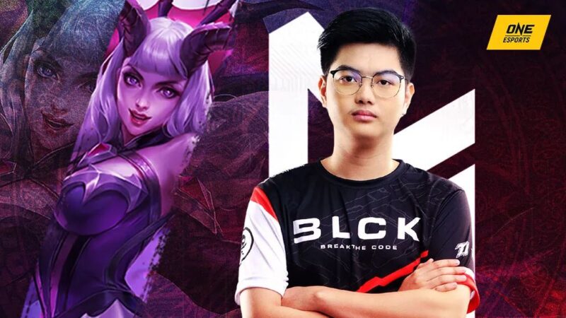 La mejor construcción de Jungle Alice: 3 conceptos básicos recomendados por Wise