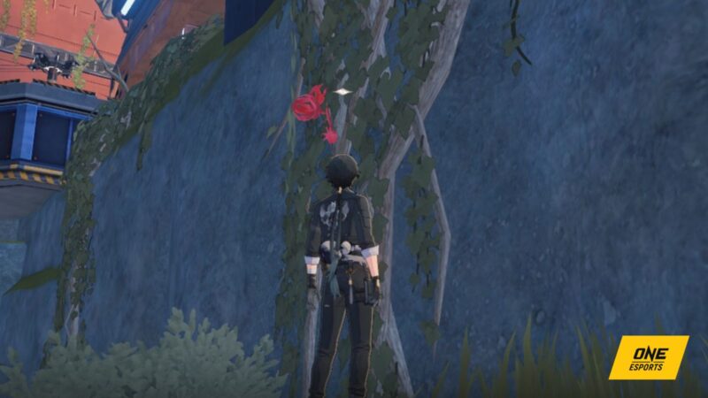 Ubicación de Lanternberry Wuthering Waves y rutas agrícolas